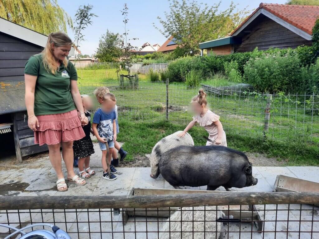 Kinderboerderij Floreffehoeve