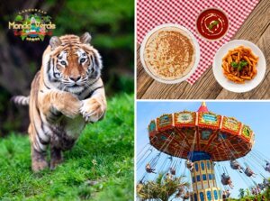 Dagentree Mondo Verde + onbeperkt eten en drinken