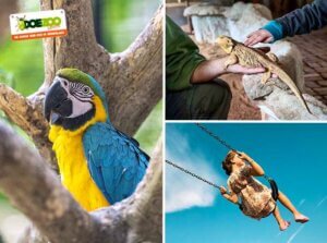 Leukste dagje uit! 14 Entreeticket DoeZoo in Leens