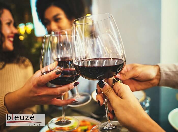 Wijnproeverij aan huis voor 4 personen van Bleuzé Wines