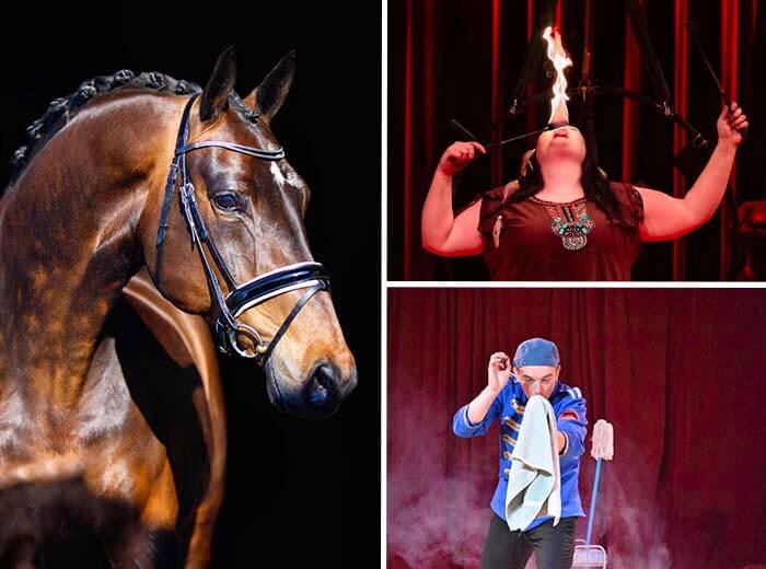 Tickets 9 Entreeticket Paarden Circus Tetam