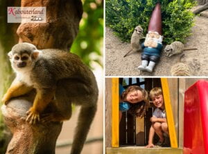 Entreeticket Kabouterland
