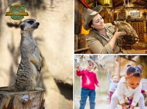 Leukste dagje uit! 19 Entreeticket Mappa Mundia in Avonturia