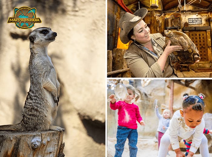 Entreeticket Mappa Mundia in Avonturia