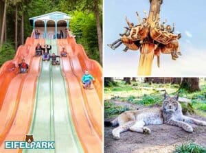 Entreeticket Eifelpark Gondorf