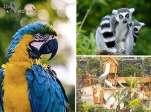 Entreeticket Zoo Veldhoven