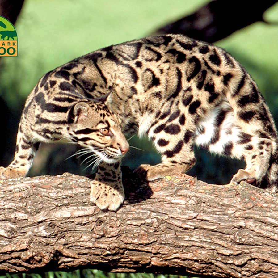 Tickets 7 Entreeticket Dierenpark Zie-ZOO