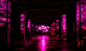 Leukste dagje uit! 6 Leukste dagje uit! | Leukste dagje uit