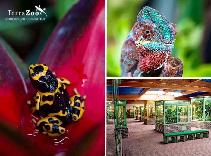 Tickets 3 Entreeticket TerraZoo