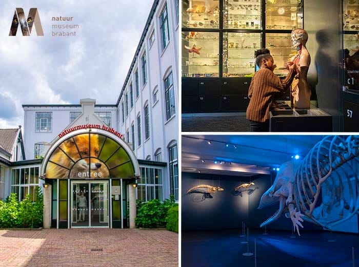 Tickets 7 Entreeticket Natuurmuseum Brabant