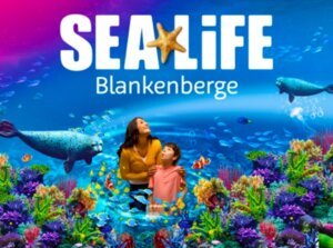 Leukste dagje uit! 15 Entreeticket SEA LIFE Blankenberge