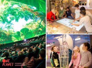 Entreeticket Museon-Omniversum