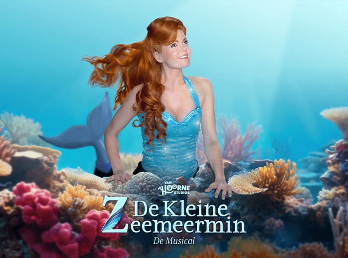 Tickets 8 Entreeticket De Kleine Zeemeermin De Musical