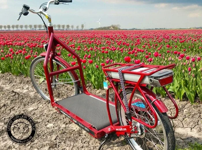 Lopifit-arrangement incl. lunch door West-Friesland