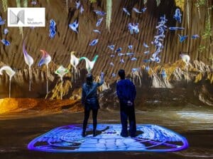 Entreeticket Nxt Museum