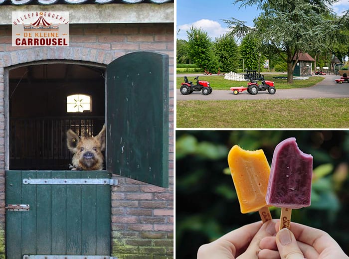 Tickets 2 Entree + waterijsje Beleefboerderij De kleine Carrousel (2 personen)