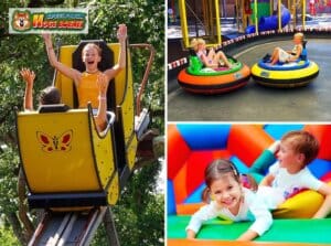 Leukste dagje uit! 22 Entreeticket Speelpark Hoge Boekel