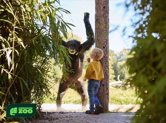 Tickets 8 Entreeticket Eindhoven Zoo