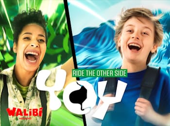 Tickets 10 Entreeticket Walibi Holland