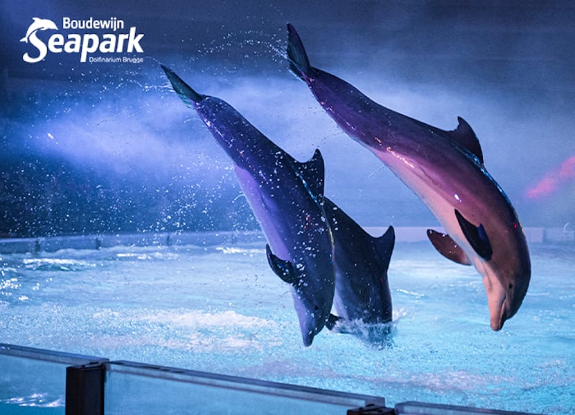 Tickets 6 Entreeticket Boudewijn Seapark