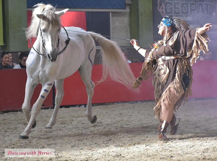 Tickets 6 Entreeticket Dancing with Horses