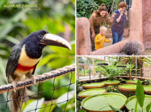 Entreeticket Almere Jungle + hapje en drankje