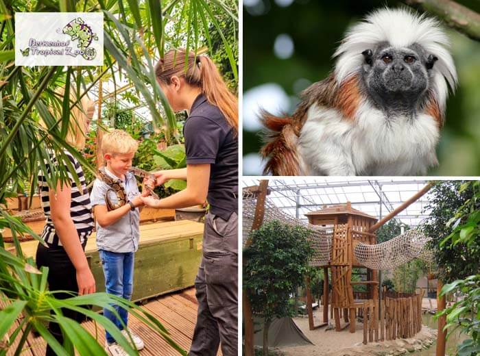 Entreeticket Berkenhof Tropical Zoo
