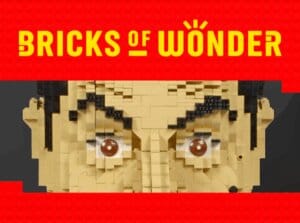 Entreeticket Bricks of Wonder®