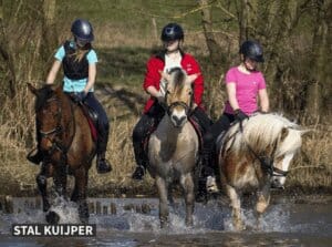 Leukste dagje uit! 10 Bos- of waterrit te paard bij Stal Kuijper (3 à 4 uur)