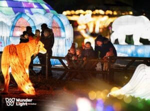 Entreeticket Wunderlight in Wunderland Kalkar