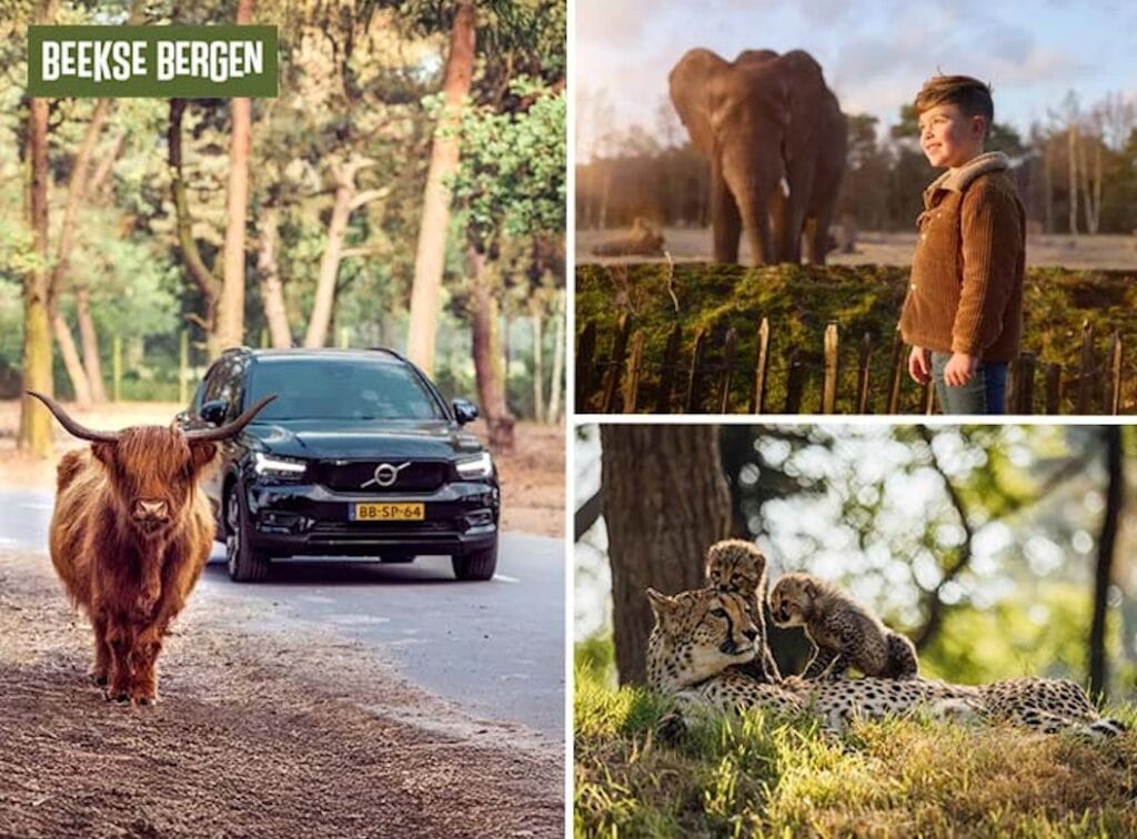 Entreeticket Safaripark Beekse Bergen
