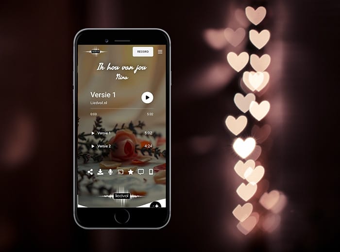 Persoonlijk liedje cadeau (100% op maat gemaakt)