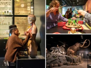 Entreeticket Natuurmuseum Brabant