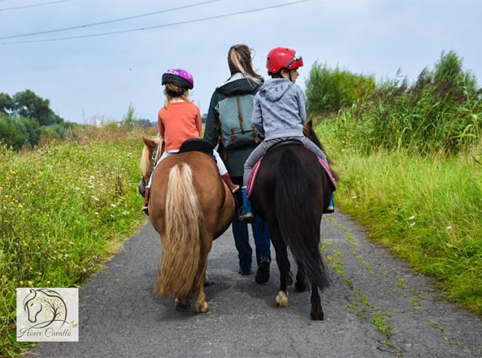 Gezinswandeling met pony of ezel