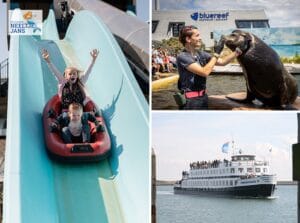 All-In zomerticket Deltapark Neeltje Jans