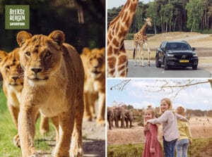 Leukste dagje uit! 14 Entreeticket Safaripark Beekse Bergen