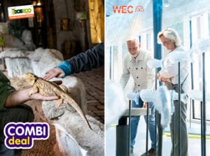 Combiticket DoeZoo x WEC Zeehondencentrum