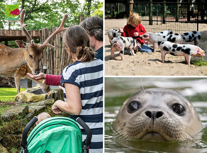 Entreeticket Tierpark Nordhorn