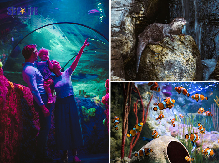 Entreeticket SEA LIFE Scheveningen